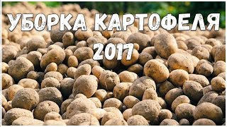 Уборка картофеля 2017 // Как мы картошку копали // Жизнь в деревне