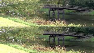 River Walk Test
