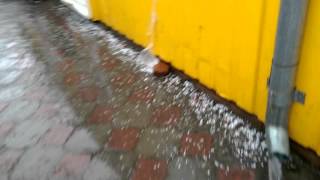 Вознесенск. Центральный рынок. 2016 04 13 10 34 30