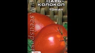 томат Царь- колокол. Сорт. семена СИБИРСКИЙ САД. высота 80-100 см . вес  до 700 гр
