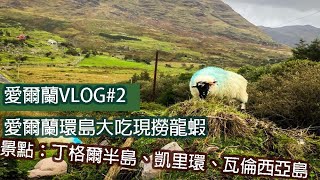 愛爾蘭VLOG 2  | 愛爾蘭環島大嗑龍蝦爽歪歪 、必去景點：丁格爾半島、凱里環、瓦倫西亞島