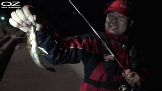 ライトワインド専用 マナティー38 解説動画とメバル実釣編