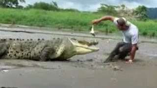 6 Случаев Жести Снятых на Камеру