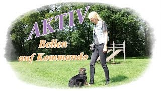 "Aktiv"! Wie bringe ich meinem Hunde das Bellen auf Kommando bei? Hundetrick