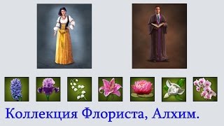 MMORPG CARNAGE: Коллекция алхимика, флориста, священника, торговца.