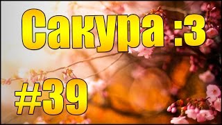 Minecraft: Жарче чем в аду #39 - Сакура :з