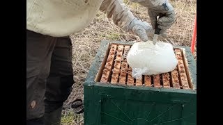Nödfodrar bin