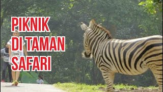 Piknik Asyik ke TAMAN SAFARI PRIGEN