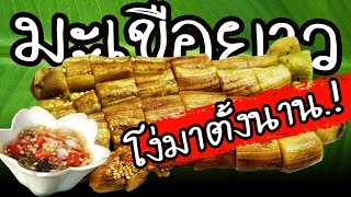 โง่มาตั้งนาน  "มะเขือยาว" ผักพื้นบ้านไทย เป็นอาหารลดไขมัน ลดน้ำตาล ในเส้นเลือด ลดความอ้วน | Nava DIY