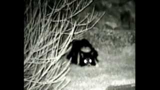 Yukon Photon 5x42  Digital Night Vision - First look at this brand new riflescope from Scott Country