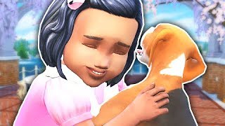 THE SIMS 4 CATS & DOGS - FIRST IMPRESSIONS // BUILD & BUY, TODDLER INTERACTIONS & PUPPY TRAINING