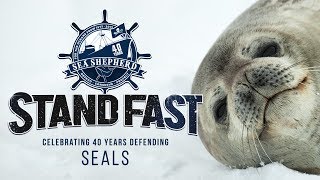 Stand Fast: 40 Years Defending Seals