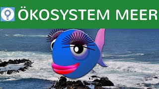 Ökosystem Meer - Gliederung, Salzgehalt & Strömungen - Zusammenfassung Ökosystem Ozean
