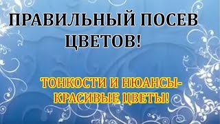 КАК ПРАВИЛЬНО ПОСЕЯТЬ ЦВЕТЫ В ДОМЕ! ВАЖНЫЕ НЮАНСЫ И ТОНКОСТИ. ШАГ 1.