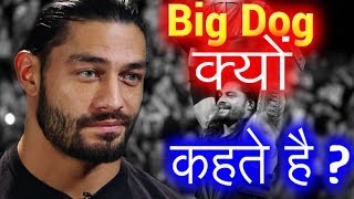 Real Reason Why Roman Reigns is Called Big Dog in WWE -  बिग डॉग का क्या मतलब हैं