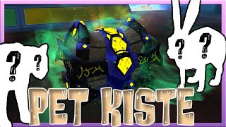 Wir ÖFFNEN die MYSTICAL Pet Kiste ? Horse Riding Tales #19