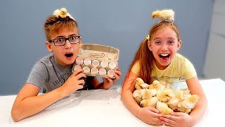 Катя 24 ЧАСА как НЯНЯ? Дети ПОСПОРИЛИ кто будет КУРИЦЕЙ! Скетч от Мы семья