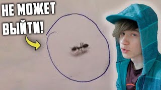 ПОЧЕМУ МУРАВЕЙ БОИТСЯ РУЧКИ?