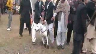 K2 in Haripur