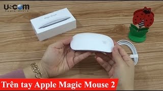 Trên tay Apple Magic Mouse 2 - USCOM