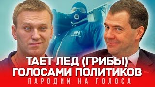 ТАЕТ ЛЁД Голосами Политиков (Грибы)