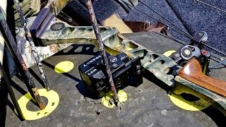 Стрельба из лука с коллиматорным прицелом, без стойки, без вкладки, и в десятку - NEC Systems