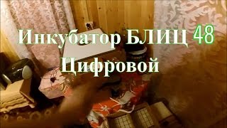 Инкубатор БЛИЦ 48 Цифровой // Позитивная новость // Жизнь в деревне