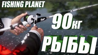 РЫБАЛКА | Рыбалка на спиннинг | 90кг Рыбы или поплавок лежит на боку.