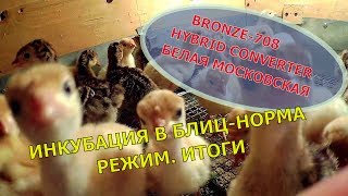 Инкубация индюшиных яиц в Блиц Норма // Режим // Итоги // Мое хозяйство