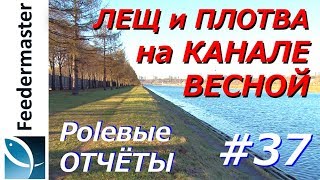 Лещ и плотва весной на канале. Осторожная рыба на Гребном канале