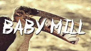 SCP-918 "Baby Mill"