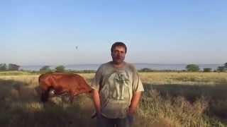 Сельские хроники от Ромки. Часть 1.