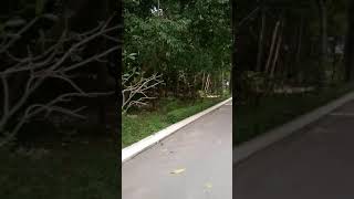 Сиануквиль. Камбоджа. Sihanoukville. Cambodia 2019