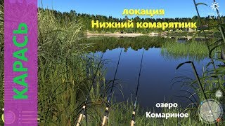 Русская рыбалка 4 - озеро Комариное - Трофейный карась в Комартянике