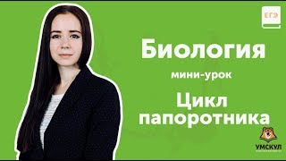 Цикл папоротника | БИОЛОГИЯ ЕГЭ 2019 | Мини-урок | УМСКУЛ