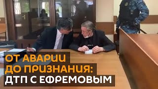 Актер Михаил Ефремов признал вину в смертельном ДТП - ему грозит 11