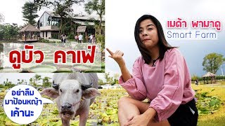 ดูบัวคาเฟ่ คาเฟ่เปิดใหม่นครปฐม Dubua Cafe รีบมาก่อนตกเทรนด์