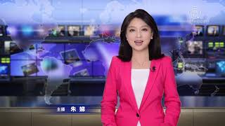 【环球直击】武汉医生求救/中国大街运尸影片频曝光(2月14日完整版1）