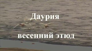 Даурия.  Весенний этюд