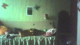 Видео с веб-камеры пользователя Viktorianna1000 от 17 Апрель 2012 г. 23:42 (PDT)