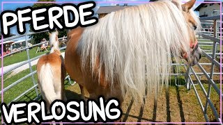 PFERDE VERLOSUNG