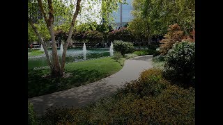Online Professional Landscape Technician Training - CSU