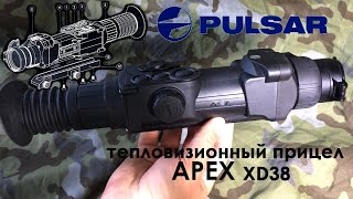 Тепловизор Pulsar APEX XD38 | Магазин ALLAMMO.RU