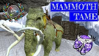 MAMMOTH TAME AND BEER BARRELS | Arktic Hardcore Survival Episode 24 | ARK Survival Evolved Mobile