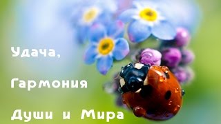 ? Медитация энергия Удачи ? и Медитация на Гармонию Души и Мира. Настрой на успех для начинающих