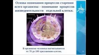 Капсулы ЖКТ-лайф - новый фундаментальный продукт системы оздоровления