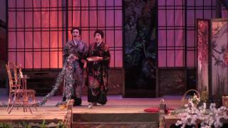 Madama Butterfly - Flower duet