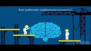 Духовність та нейропластичність. Міжнародна науково-практична конференція