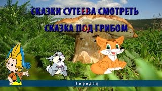 Сказки Сутеева смотреть.Сказка Под грибом