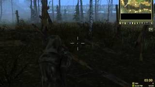 Stalker Online Начало